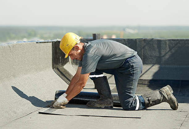 Best Eco-Friendly Insulation in Ardmore, PA
